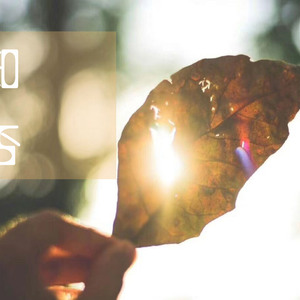 对白少妇推油按摩浙江少妇
